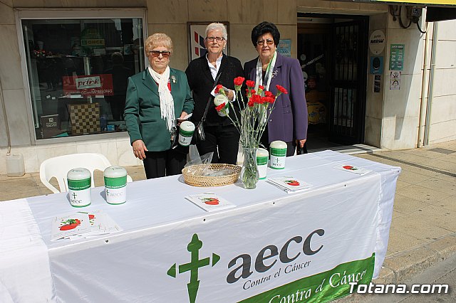 Domingo de Ramos - Procesin Iglesia Santiago - Semana Santa 2017 - 435