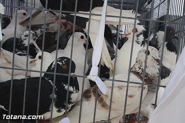 Procesin del Encuentro. Domingo de Resurreccin 2012 - 4