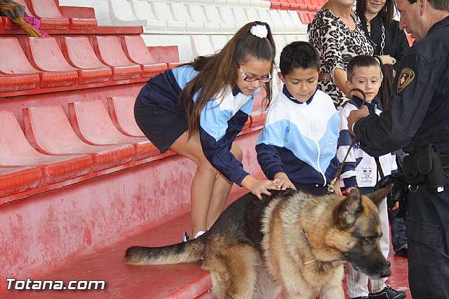 Exhibicin Guas Caninos Detectores de Drogas - 2
