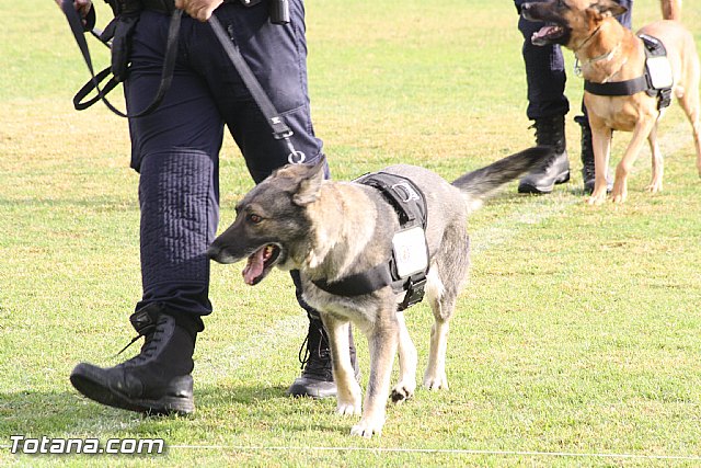 Exhibicin Guas Caninos Detectores de Drogas - 55