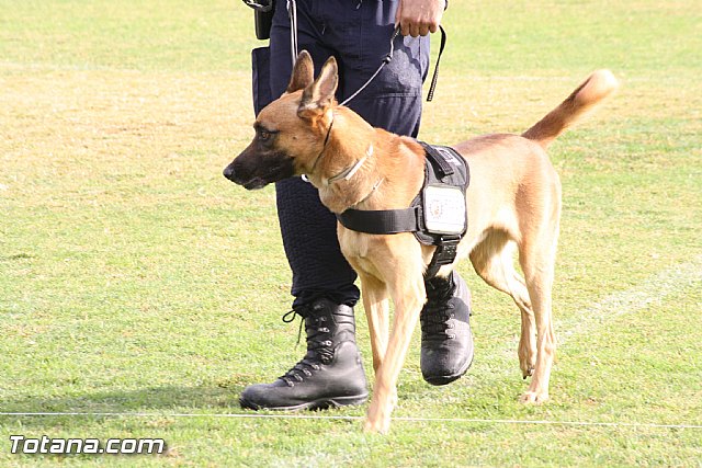 Exhibicin Guas Caninos Detectores de Drogas - 56