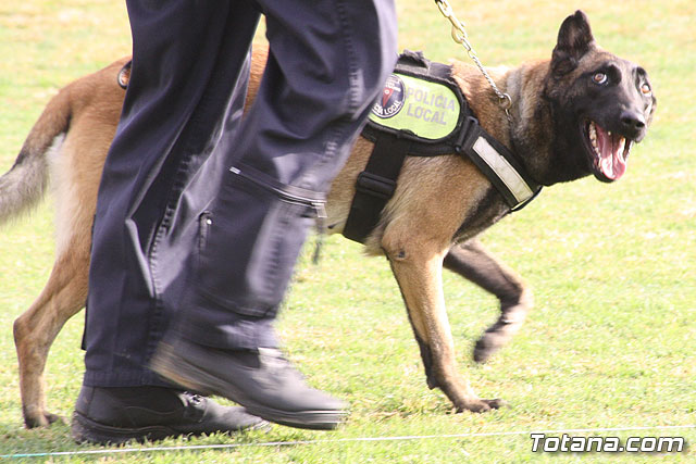 Exhibicin Guas Caninos Detectores de Drogas - 58