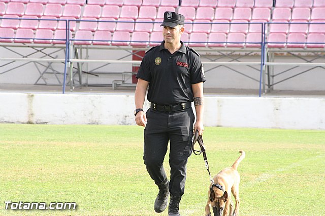 Exhibicin Guas Caninos Detectores de Drogas - 59
