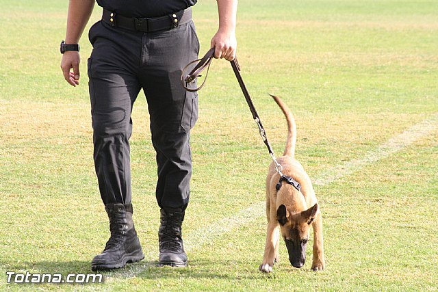 Exhibicin Guas Caninos Detectores de Drogas - 60