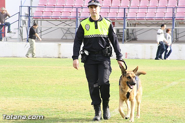 Exhibicin Guas Caninos Detectores de Drogas - 61