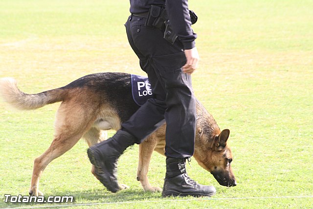 Exhibicin Guas Caninos Detectores de Drogas - 62