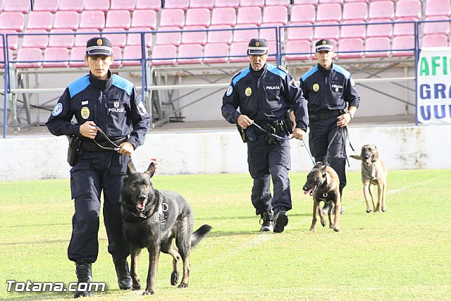 Exhibicin Guas Caninos Detectores de Drogas - 63