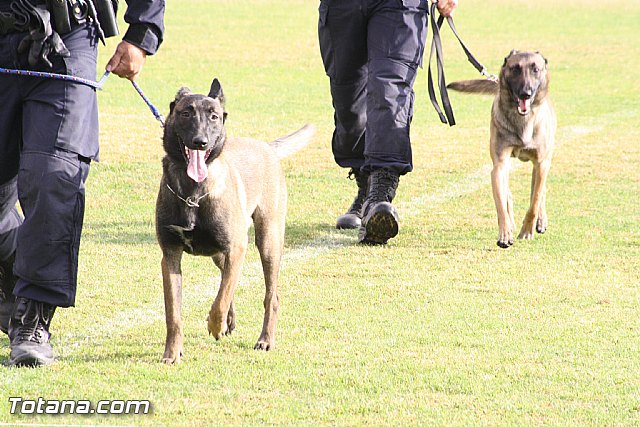 Exhibicin Guas Caninos Detectores de Drogas - 65