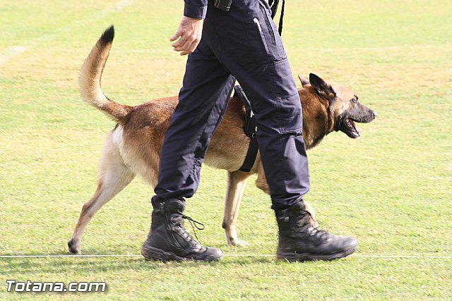 Exhibicin Guas Caninos Detectores de Drogas - 70