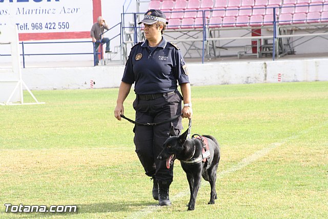 Exhibicin Guas Caninos Detectores de Drogas - 71