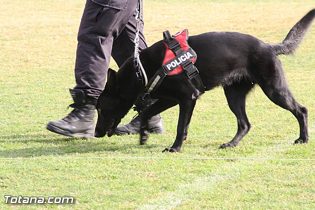 Exhibicin Guas Caninos Detectores de Drogas - 72