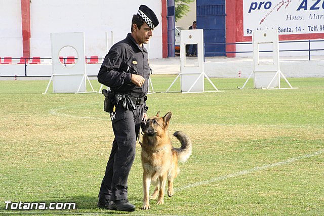 Exhibicin Guas Caninos Detectores de Drogas - 78