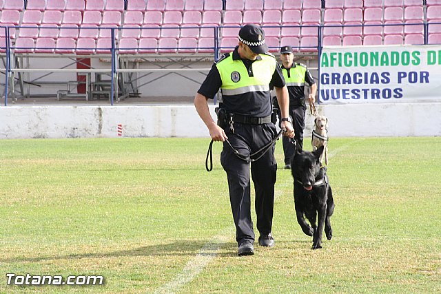 Exhibicin Guas Caninos Detectores de Drogas - 81