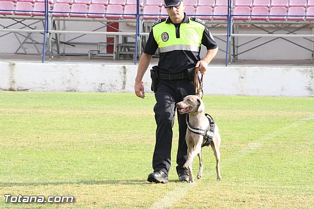 Exhibicin Guas Caninos Detectores de Drogas - 84