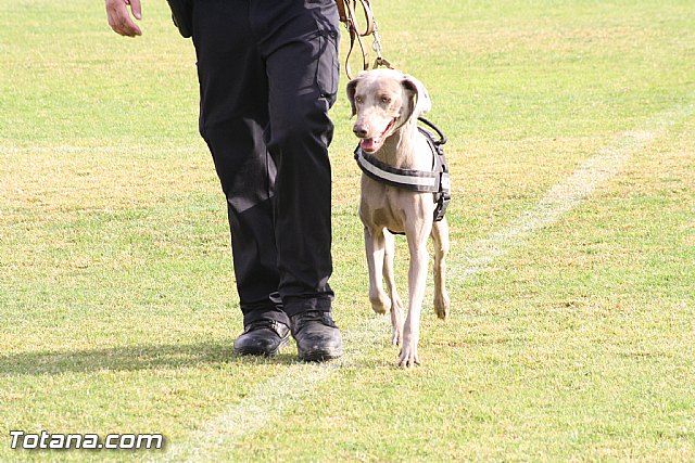 Exhibicin Guas Caninos Detectores de Drogas - 86