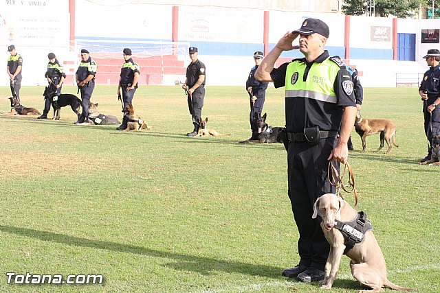 Exhibicin Guas Caninos Detectores de Drogas - 88