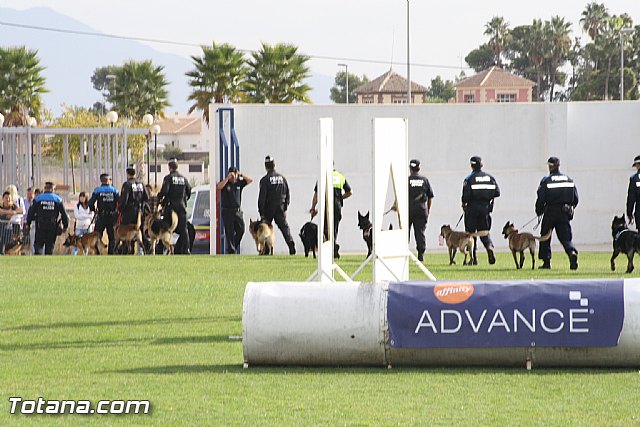 Exhibicin Guas Caninos Detectores de Drogas - 90