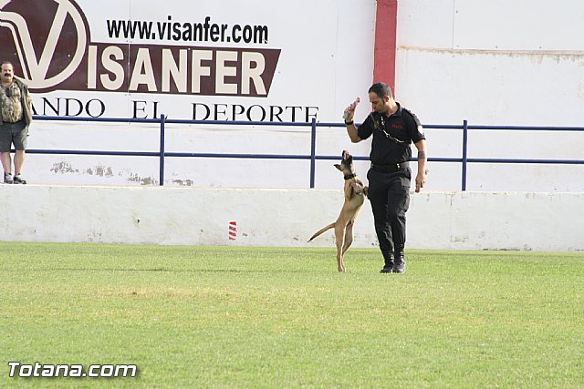 Exhibicin Guas Caninos Detectores de Drogas - 92