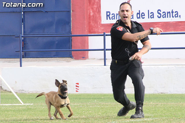 Exhibicin Guas Caninos Detectores de Drogas - 98