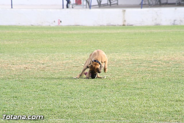 Exhibicin Guas Caninos Detectores de Drogas - 99