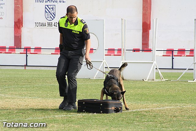 Exhibicin Guas Caninos Detectores de Drogas - 112