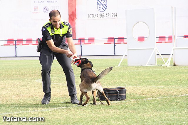 Exhibicin Guas Caninos Detectores de Drogas - 116