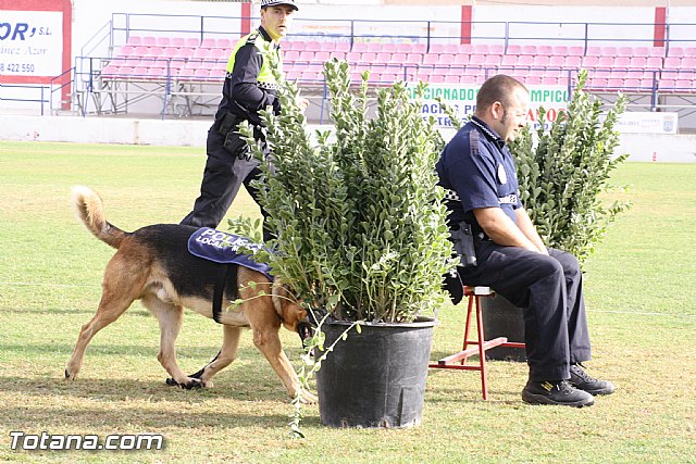 Exhibicin Guas Caninos Detectores de Drogas - 123