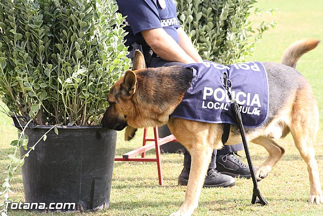 Exhibicin Guas Caninos Detectores de Drogas - 125