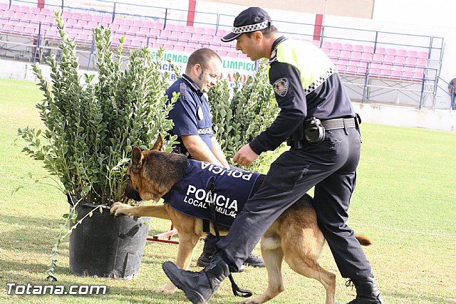 Exhibicin Guas Caninos Detectores de Drogas - 126