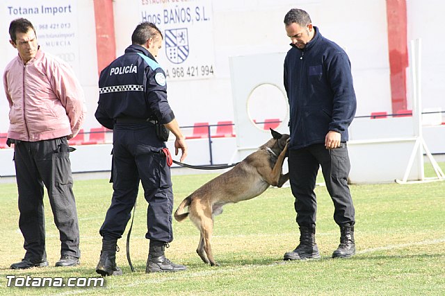 Exhibicin Guas Caninos Detectores de Drogas - 137