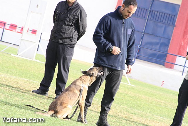 Exhibicin Guas Caninos Detectores de Drogas - 138