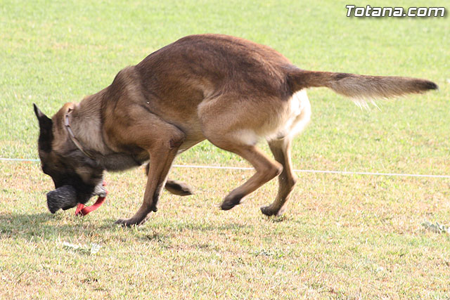 Exhibicin Guas Caninos Detectores de Drogas - 141