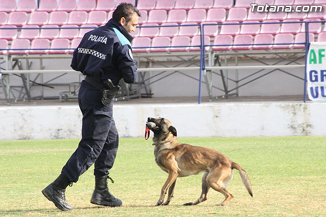 Exhibicin Guas Caninos Detectores de Drogas - 143