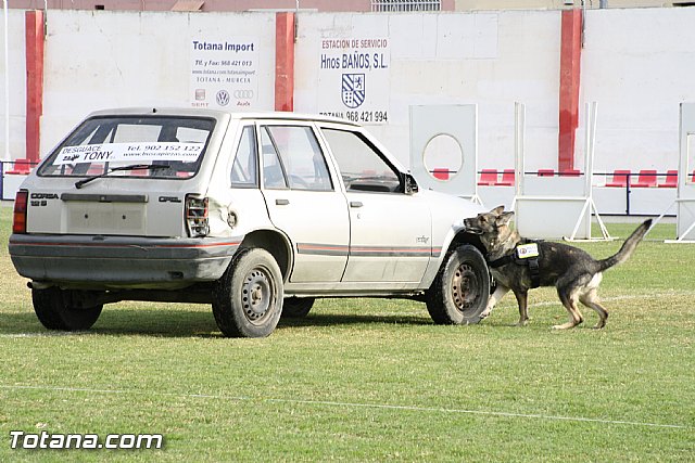 Exhibicin Guas Caninos Detectores de Drogas - 146