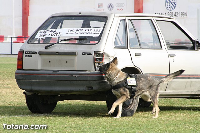 Exhibicin Guas Caninos Detectores de Drogas - 147