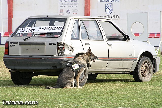 Exhibicin Guas Caninos Detectores de Drogas - 148