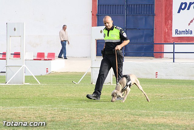 Exhibicin Guas Caninos Detectores de Drogas - 150