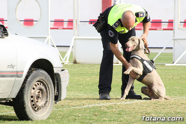 Exhibicin Guas Caninos Detectores de Drogas - 151