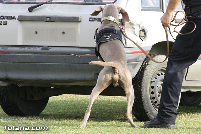 Exhibicin Guas Caninos Detectores de Drogas - 155