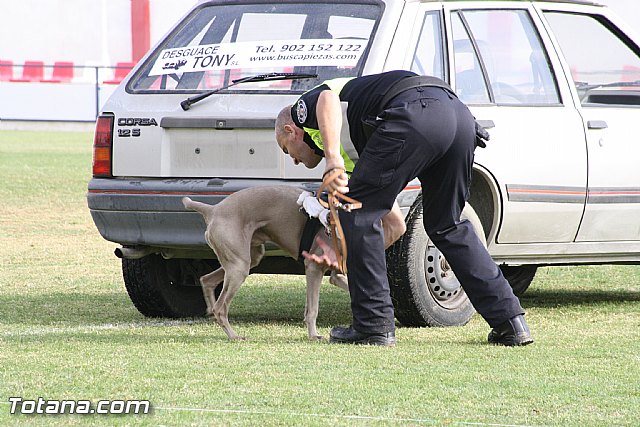 Exhibicin Guas Caninos Detectores de Drogas - 156