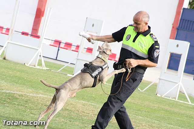 Exhibicin Guas Caninos Detectores de Drogas - 158