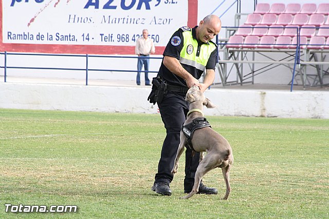Exhibicin Guas Caninos Detectores de Drogas - 161