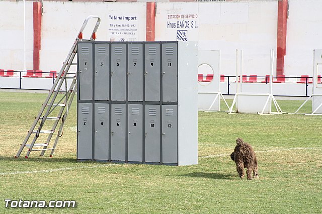 Exhibicin Guas Caninos Detectores de Drogas - 165