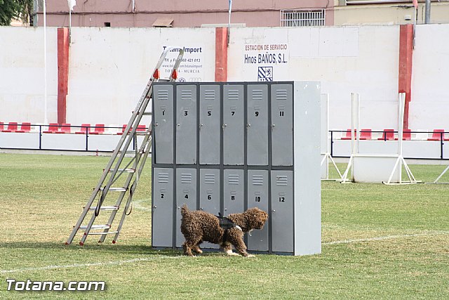 Exhibicin Guas Caninos Detectores de Drogas - 166