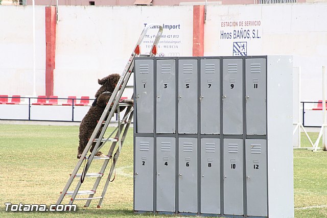 Exhibicin Guas Caninos Detectores de Drogas - 167
