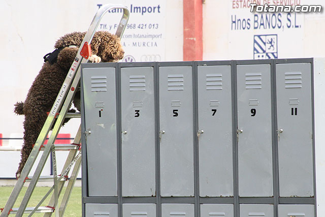 Exhibicin Guas Caninos Detectores de Drogas - 168