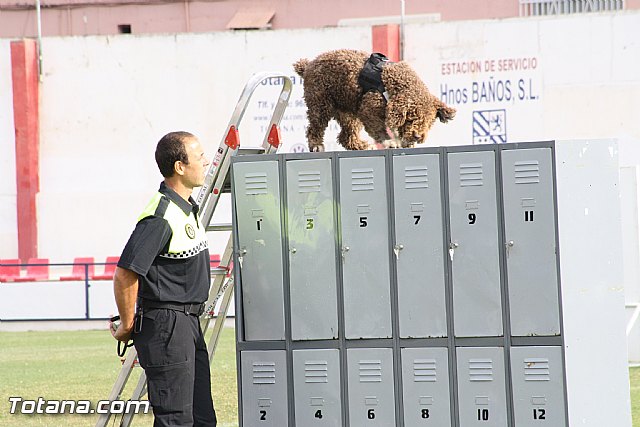 Exhibicin Guas Caninos Detectores de Drogas - 170
