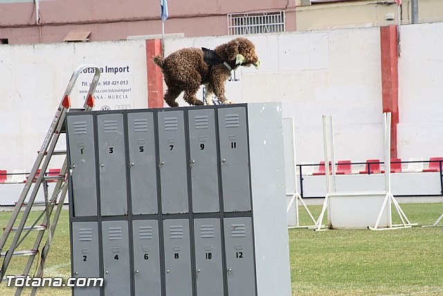 Exhibicin Guas Caninos Detectores de Drogas - 171