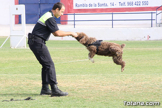 Exhibicin Guas Caninos Detectores de Drogas - 173