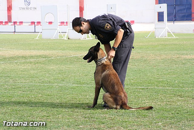 Exhibicin Guas Caninos Detectores de Drogas - 176